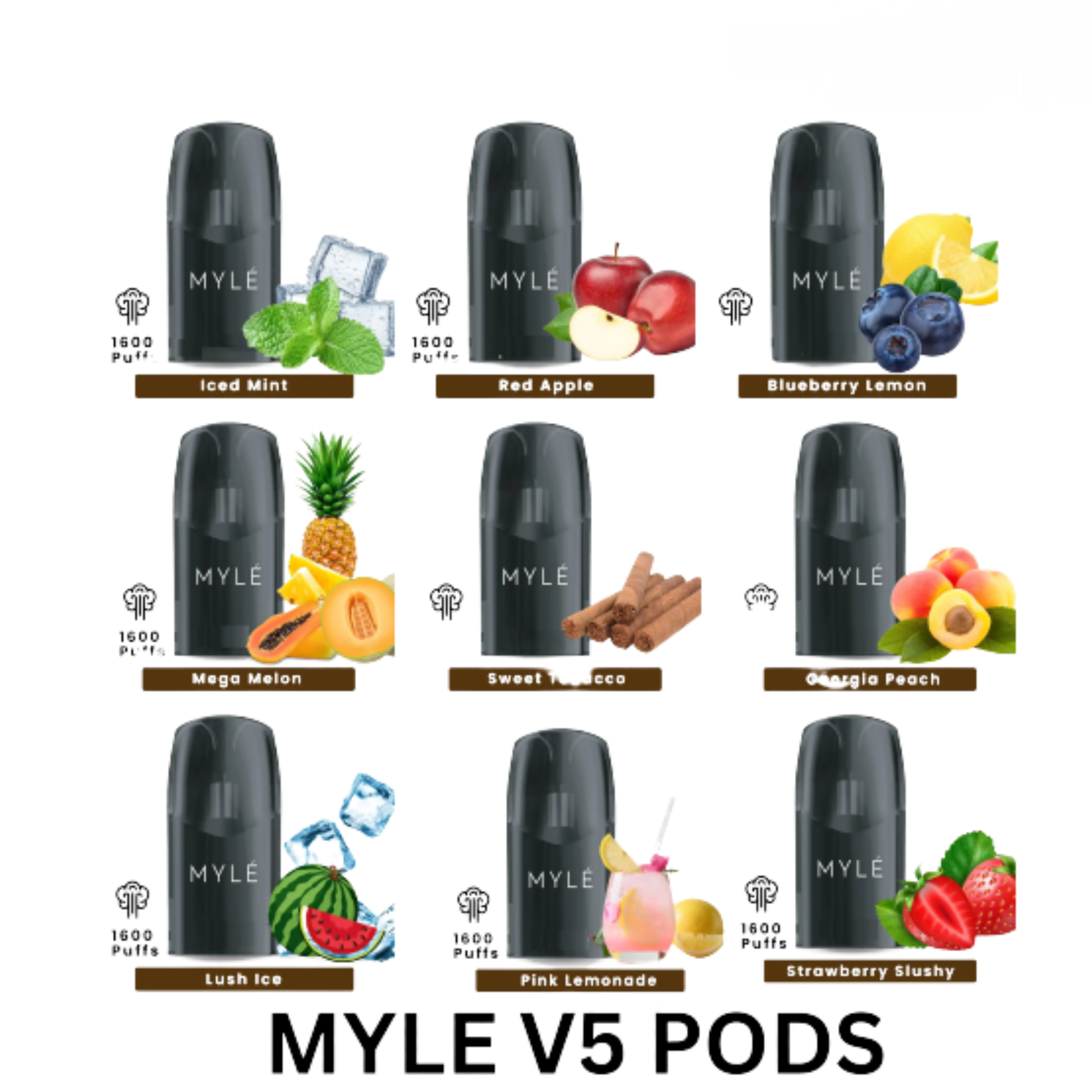 Myle V5 Pods Meta Best in UAE