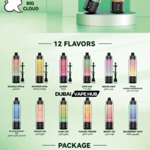 VNSN Max 20000 Shisha (Big Cloud) Disposable Vape