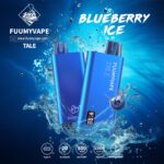 Fuumy Vape 12000 Disposable Puffs Best In Uae Vape Shop Dubai Disposable Vape Dubai Uae