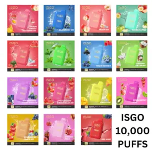 Isgo Bar 10000 Puffs Disposable Vape