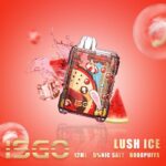 Isgo Disposable Vape 6000 Puffs Best In Uae Dubaivapehubcom Vape Shop Dubai Disposable Vape Dubai Uae 11