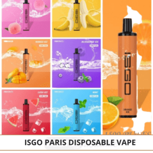 Isgo Paris 1500 Puffs Disposable Vape