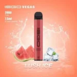 Isgo Vegas 2800 Puffs Disposable Vape Best In Uae Vape Shop Dubai Disposable Vape Dubai Uae 6