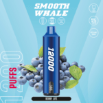 Smooth Whale 12000 Puffs Disposable Vape Best In Uae Vape Shop Dubai Disposable Vape Dubai Uae 10