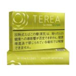 Terea Bright Menthol Heets For Iqos Iluma Device Vape Shop Dubai Disposable Vape Dubai Uae