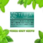 Terea Mint Heets Japanese Best In Uae