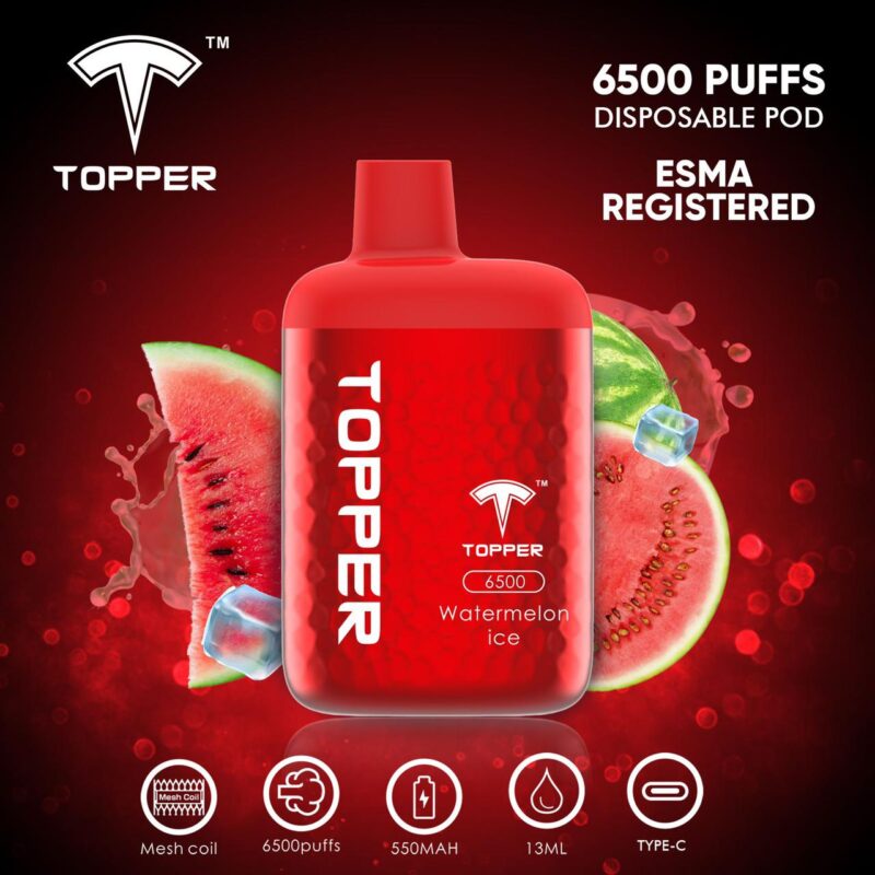 Topper Disposable Vape 6500 Puffs Best In Uae Dubaivapehubcom Vape Shop Dubai Disposable Vape Dubai Uae 11