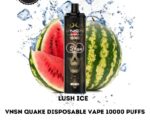 Vnsn Quake 10000 Puffs Disposable Vape Best In Uae Vape Shop Dubai Disposable Vape Dubai Uae 5