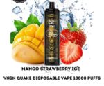 Vnsn Quake 10000 Puffs Disposable Vape Best In Uae Vape Shop Dubai Disposable Vape Dubai Uae 7