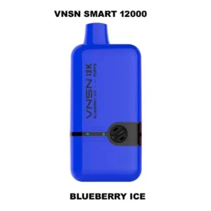 Vnsn Smart 12000 Vape Deposable Puffs Best In Uae Vape Shop Dubai Disposable Vape Dubai Uae 2