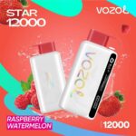 Vozol Star 12000 Puffs Disposable Vape Best In Dubai Uae Vape Shop Dubai Disposable Vape Dubai Uae 13
