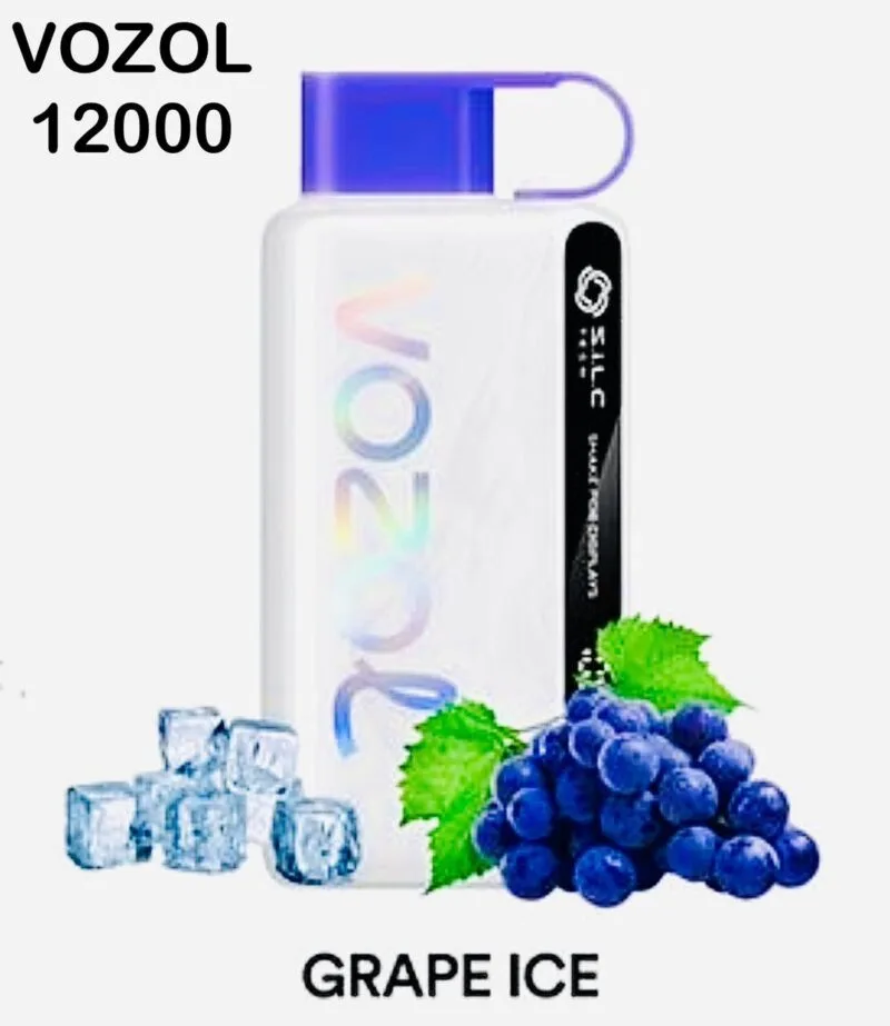 Vozol Star 12000 Puffs Disposable Vape In Dubai Uae Vape Shop Dubai Disposable Vape Dubai Uae 2