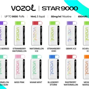 Vozol Star 12000 Puffs Disposable Vape