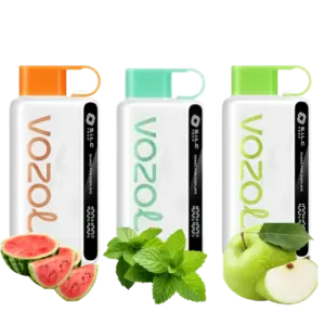 Vozol Star 12000 Puffs Disposable Vape