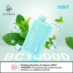 Elf Bar BC 10000 Puffs Disposable Vape- Mint