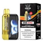 Al Fakher Ultra 25000 Puffs Cool Mango in Dubai UAE