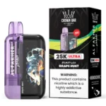 Al Fakher Ultra 25000 Puffs Grape Mint in Dubai UAE