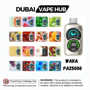 WAKA PA25000 Puffs