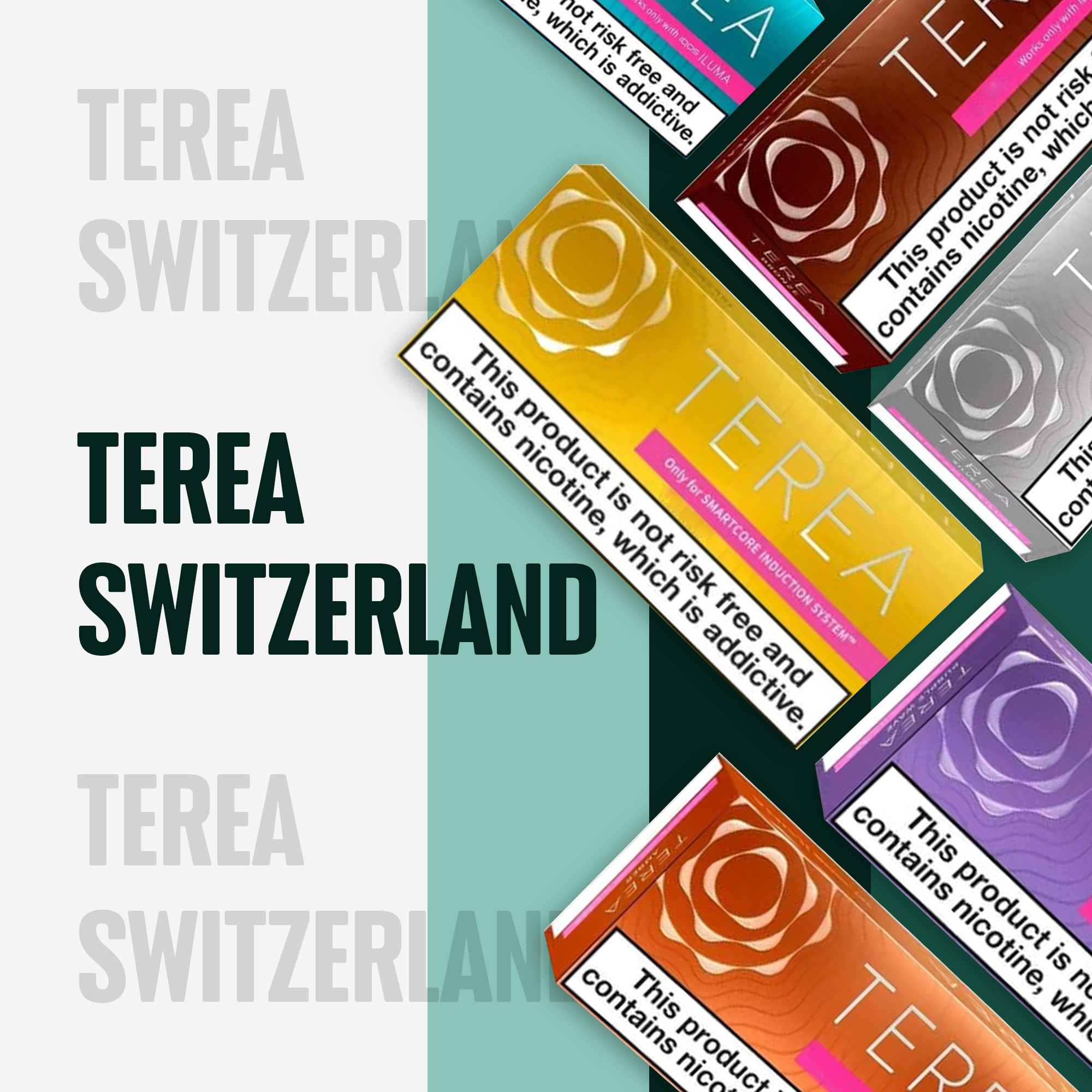IQOS TEREA SWISS All Flavors IQOS TEREA SWISS All Flavors